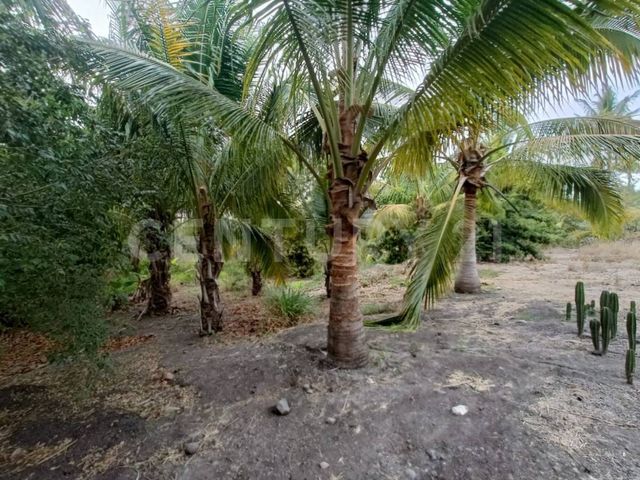 place photo 31