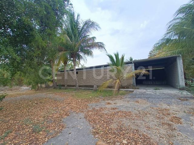 place photo 20