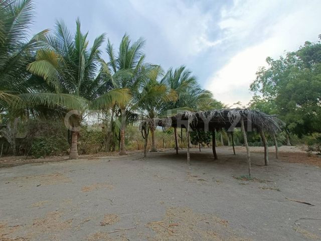 place photo 23
