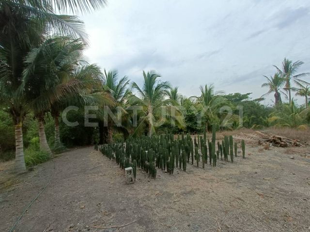 place photo 30