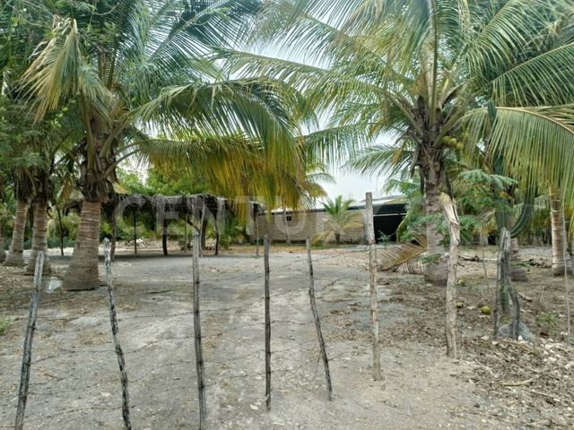 place photo 17