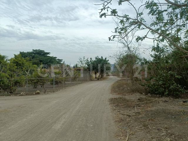 place photo 25