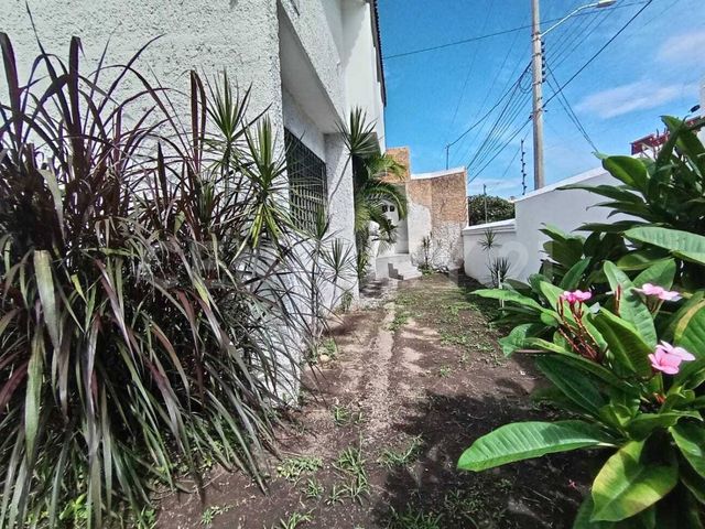 place photo 39