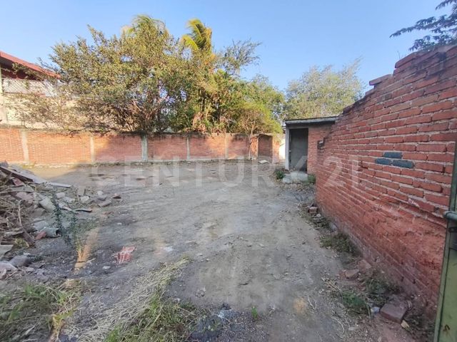 place photo 11