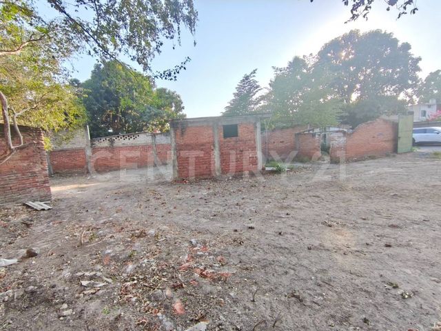 place photo 13