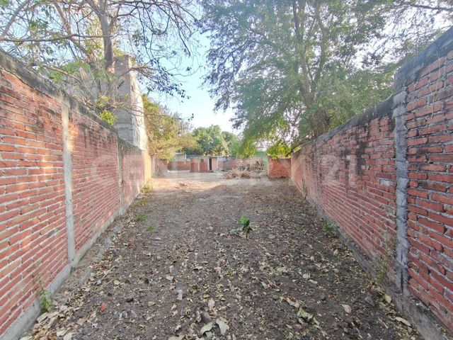 place photo 15