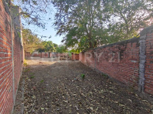 place photo 16