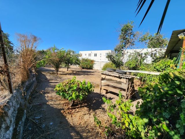 place photo 26