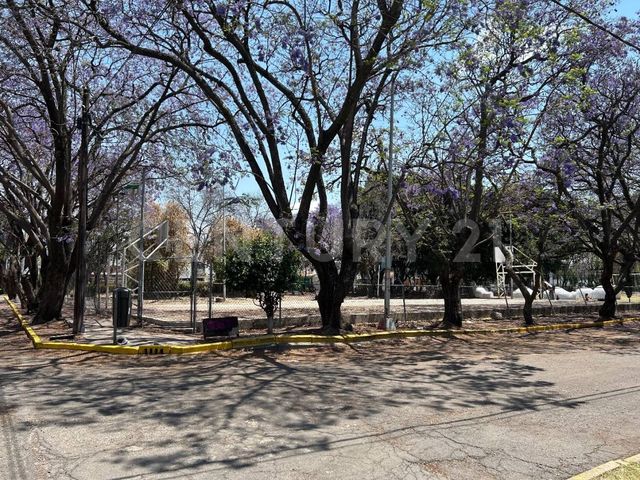 place photo 35