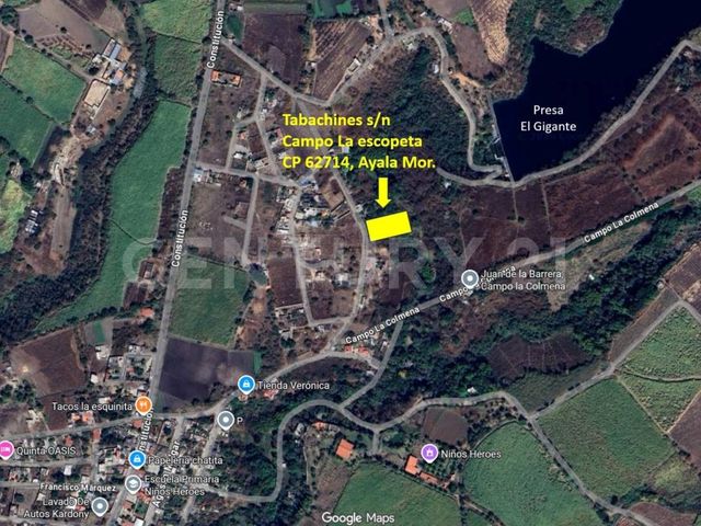 place photo 8