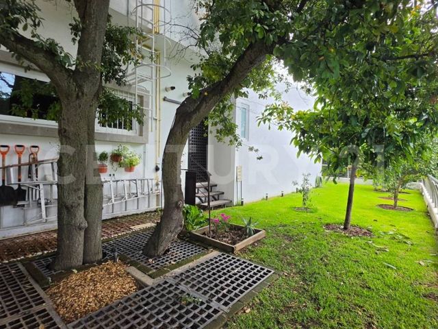 place photo 36