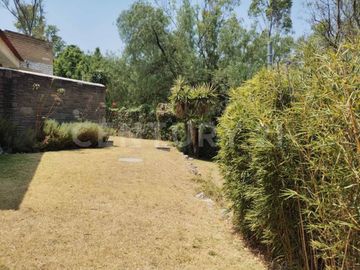 place photo 39