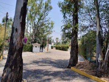 place photo 40