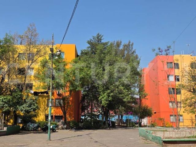 place photo 24