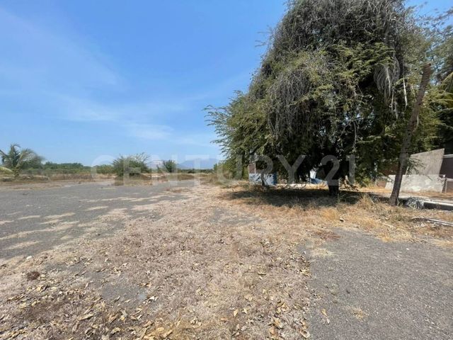 place photo 22