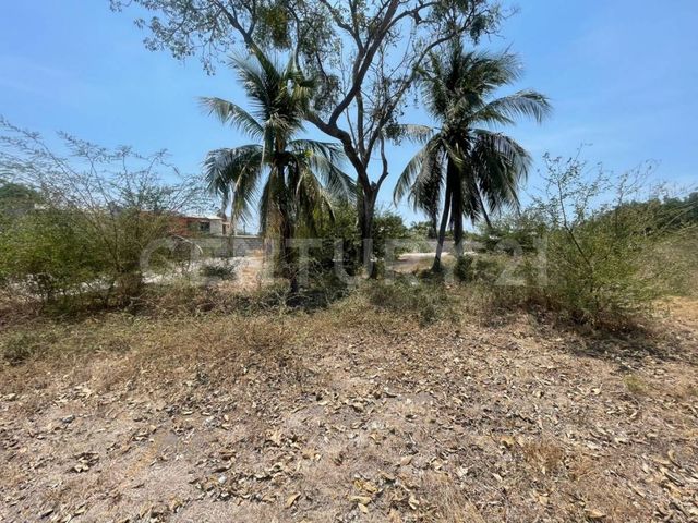 place photo 21
