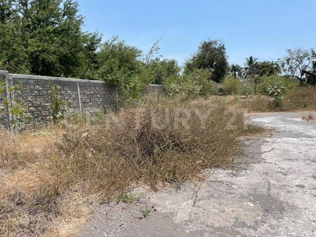 place photo 4