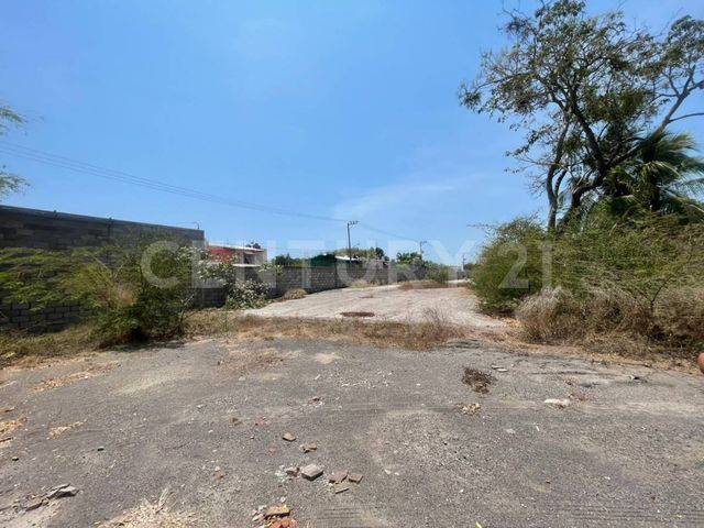place photo 20