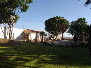 place photo 26