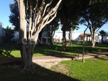 place photo 24