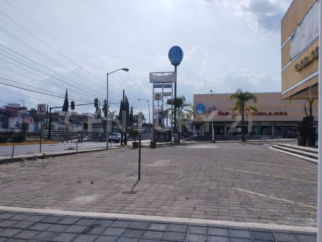 place photo 26