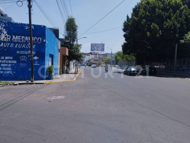 place photo 16