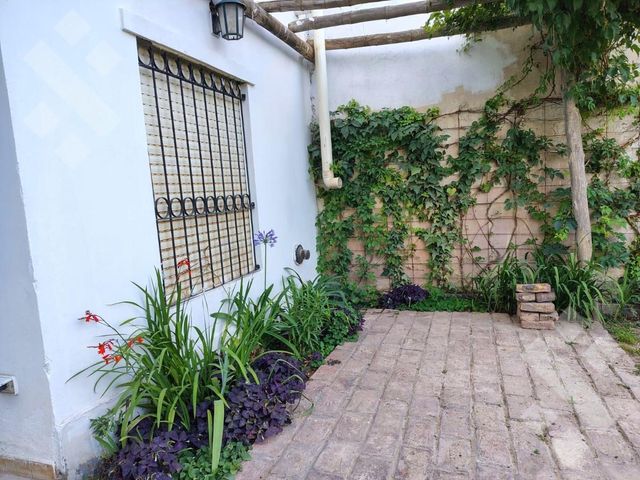 place photo 58