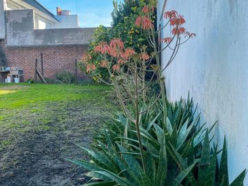 place photo 25