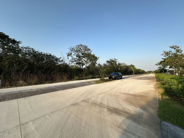 place photo 14