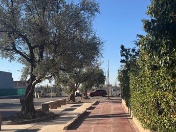 place photo 41