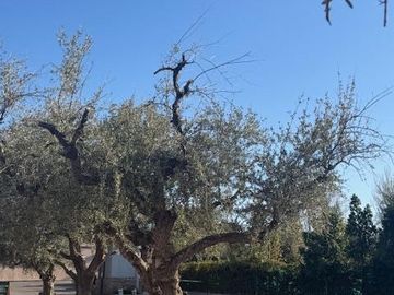 place photo 39