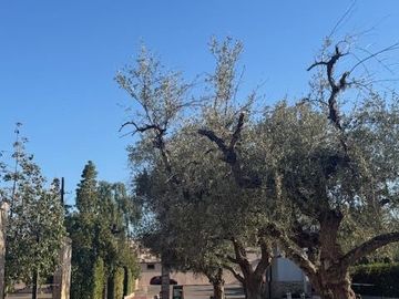 place photo 38