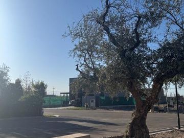 place photo 30