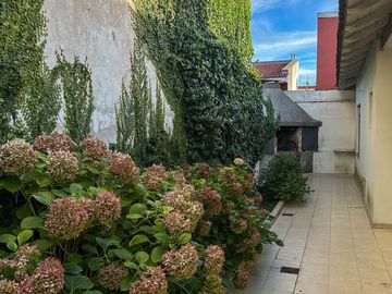 place photo 34