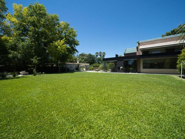 place photo 53