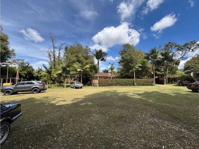place photo 46