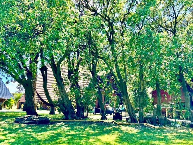 place photo 53
