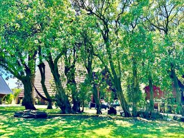 place photo 53