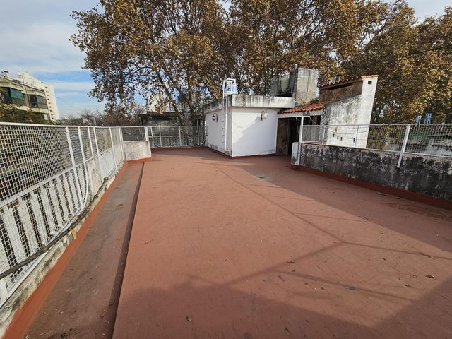 place photo 36