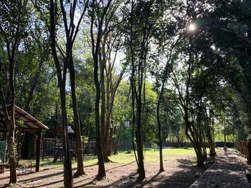 place photo 30