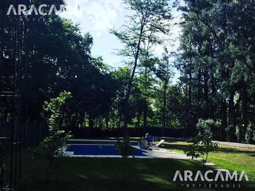 place photo 31