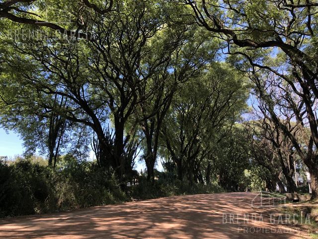place photo 30