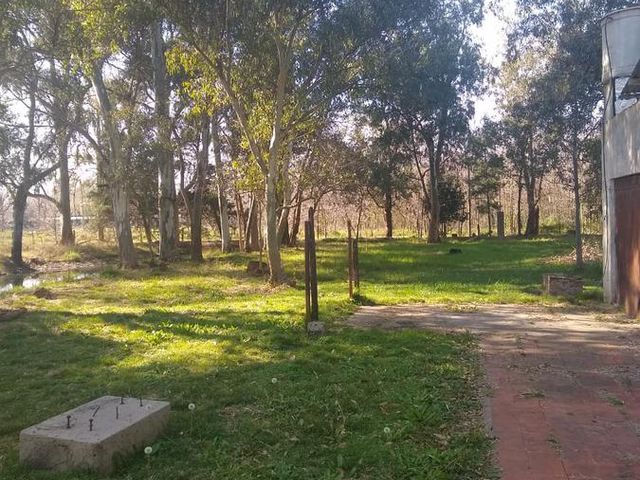 place photo 7