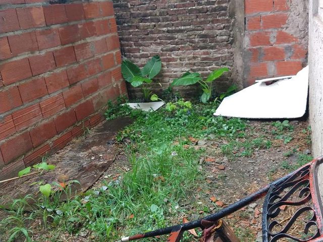 place photo 31