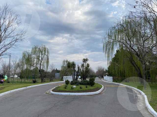place photo 34
