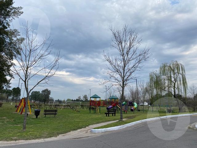 place photo 33