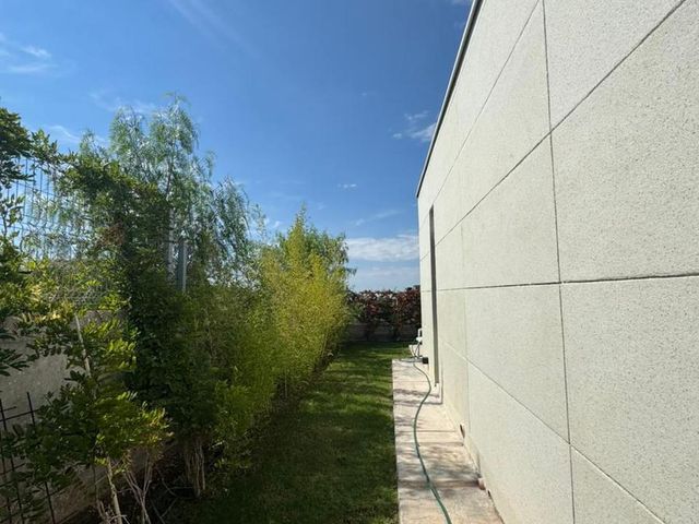 place photo 49