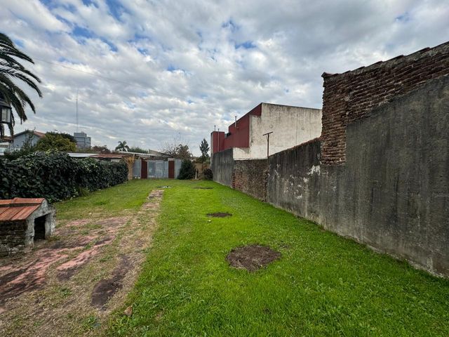 place photo 19