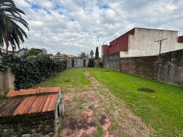place photo 18