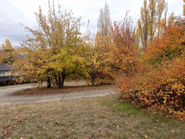 place photo 40